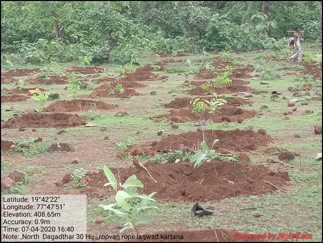 Compensatory Afforestation - photo 5