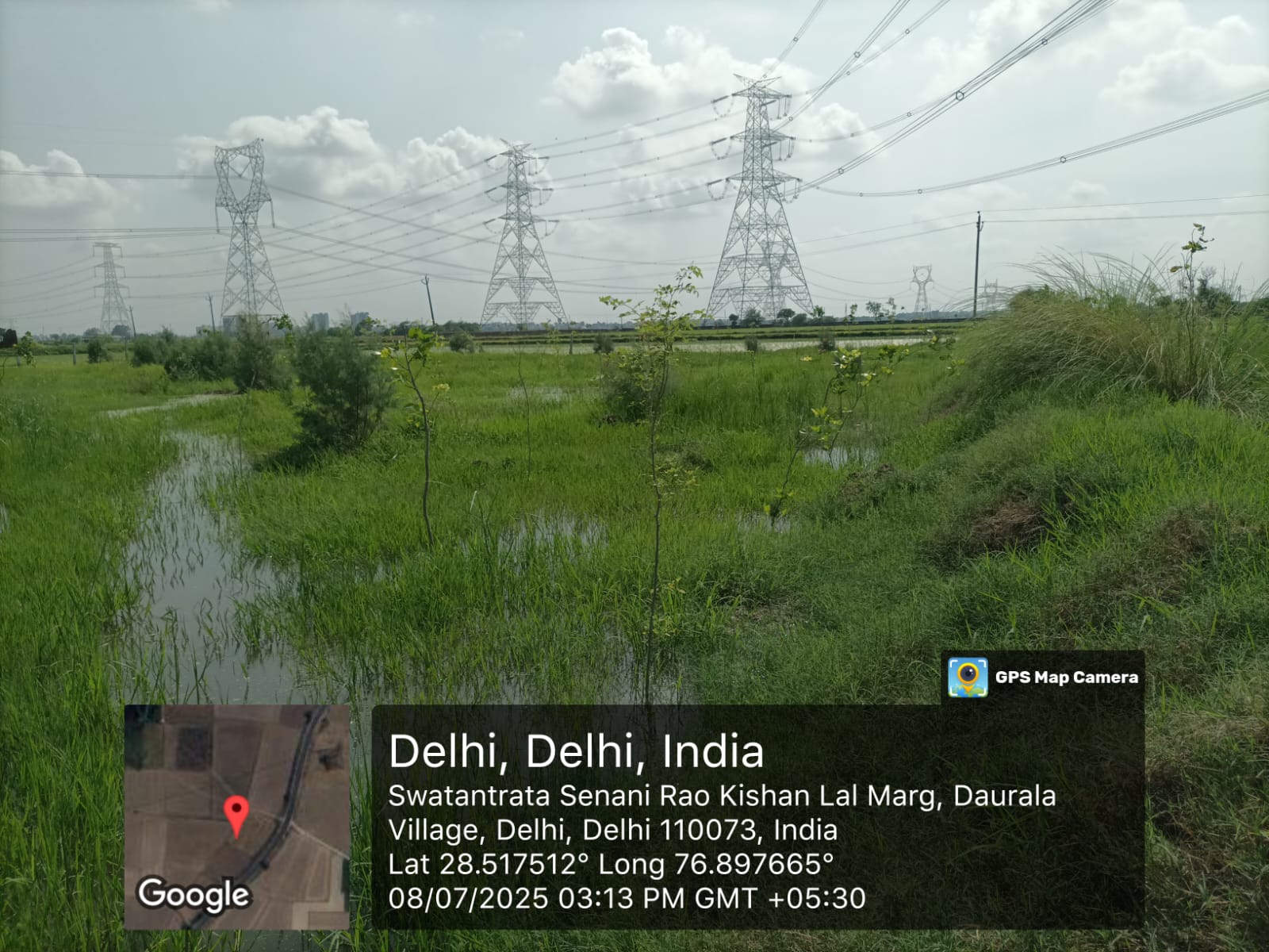 Compensatory Afforestation - photo 163