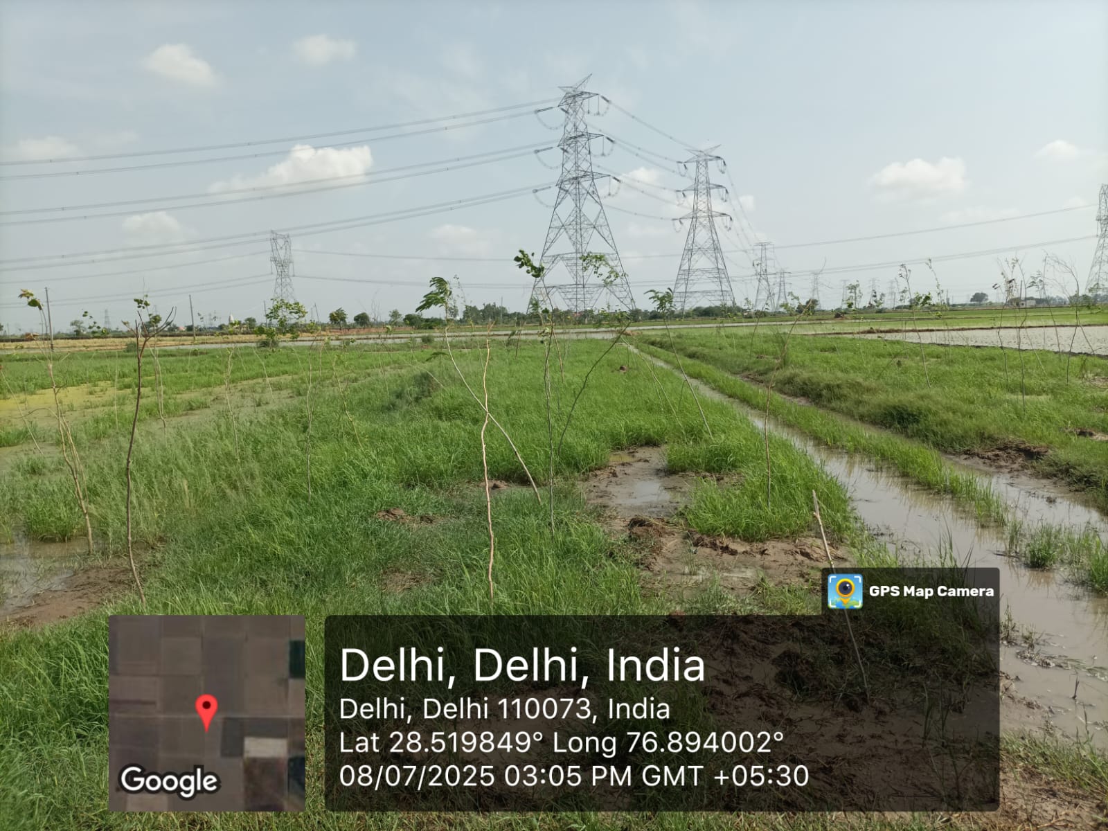 Compensatory Afforestation - photo 162