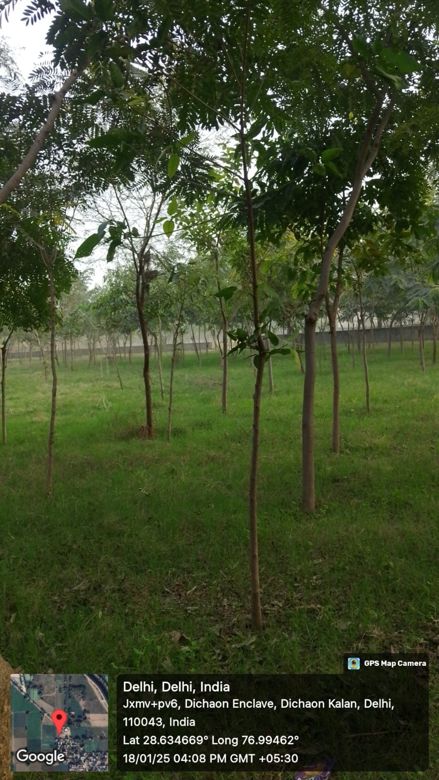 Compensatory Afforestation - photo 126