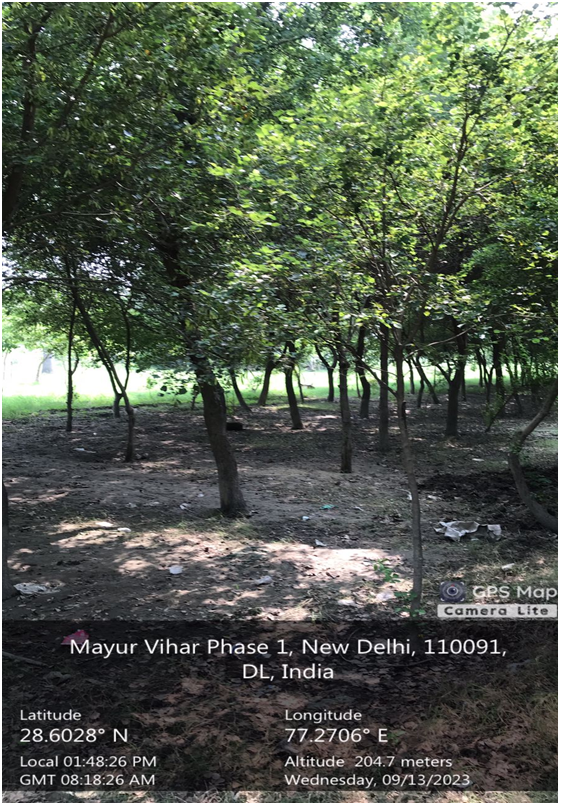 Compensatory Afforestation - photo 95
