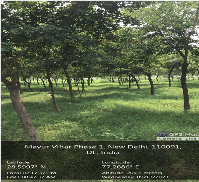 Compensatory Afforestation - photo 99