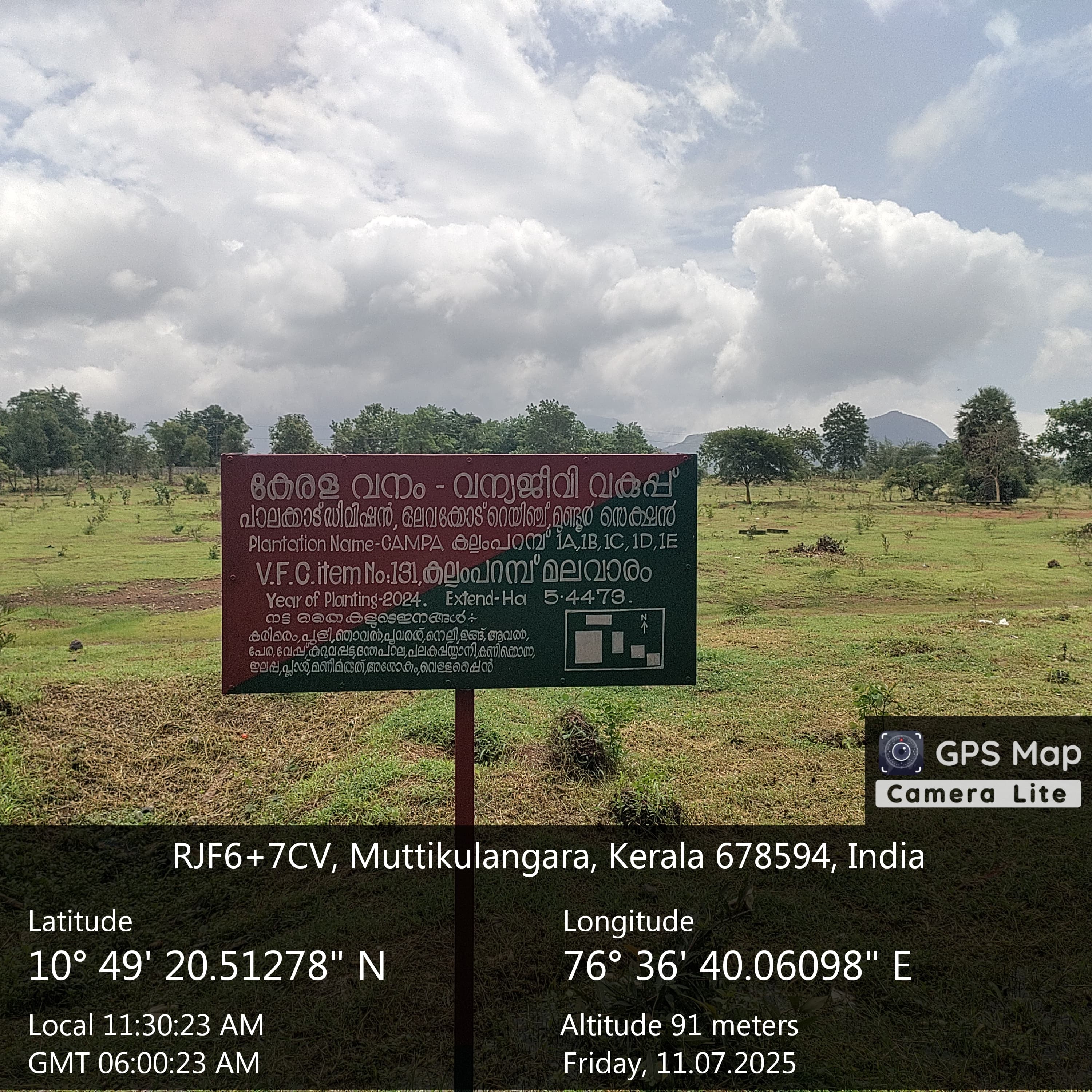 Compensatory Afforestation - photo 169