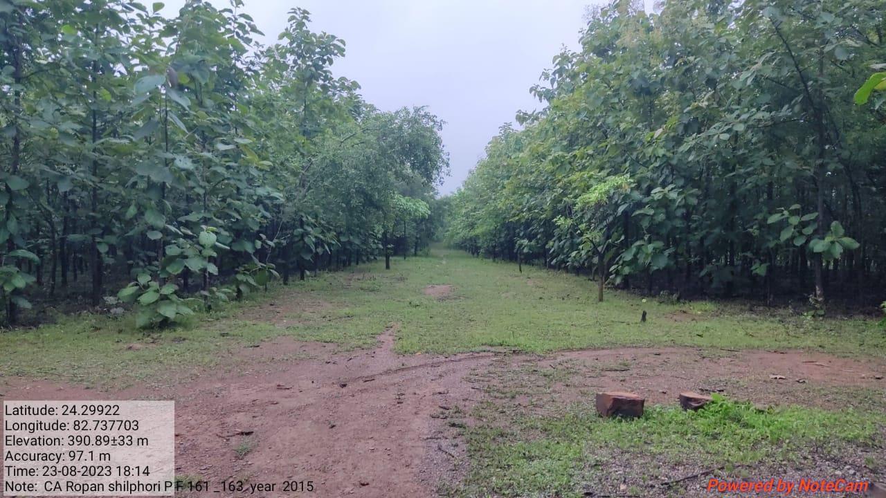 Compensatory Afforestation - photo 12