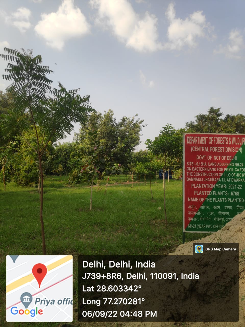 Compensatory Afforestation - photo 107