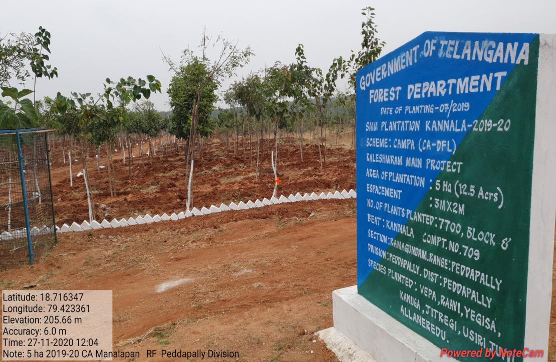 Compensatory Afforestation - photo 23