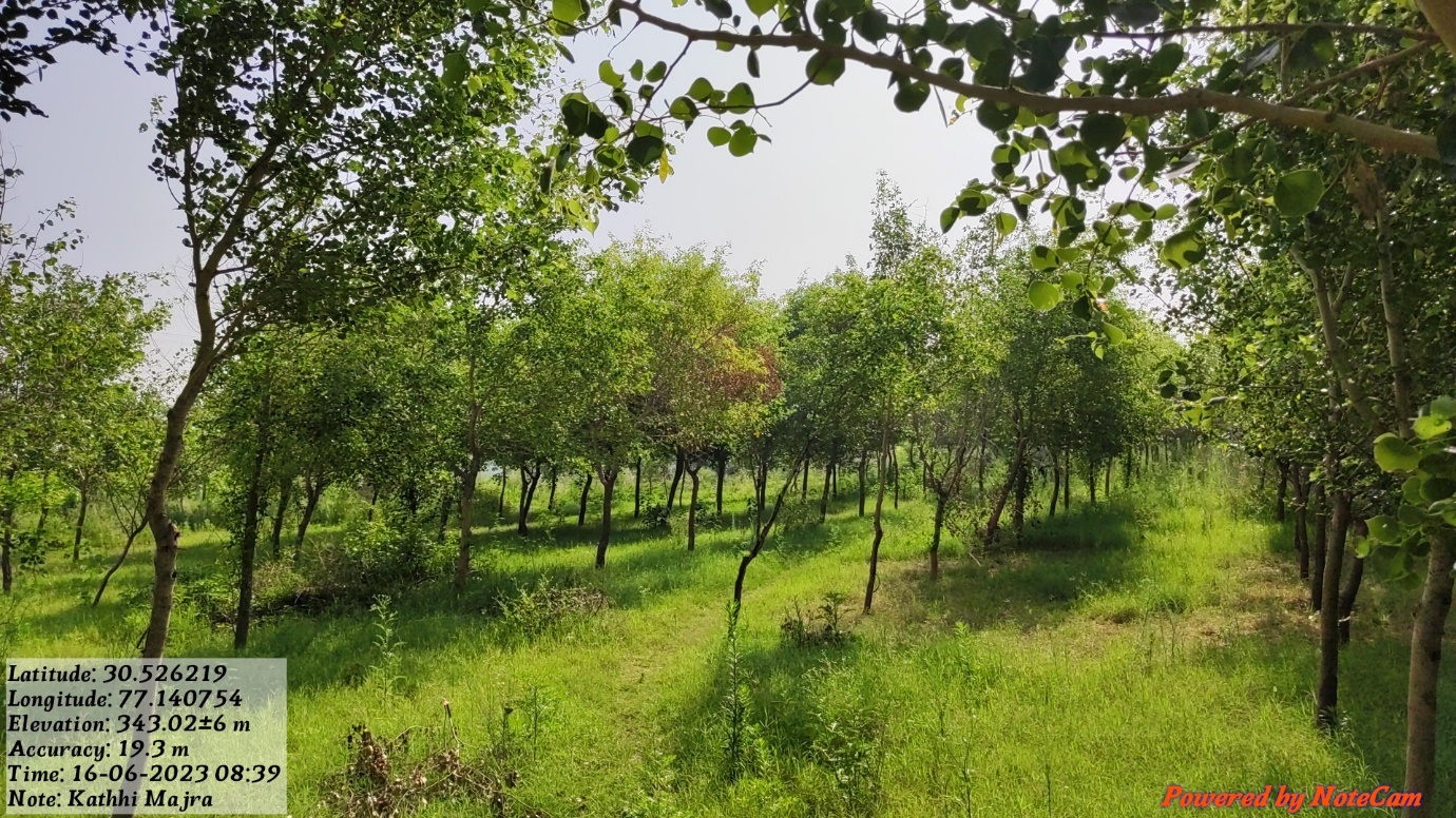 Compensatory Afforestation - photo 27