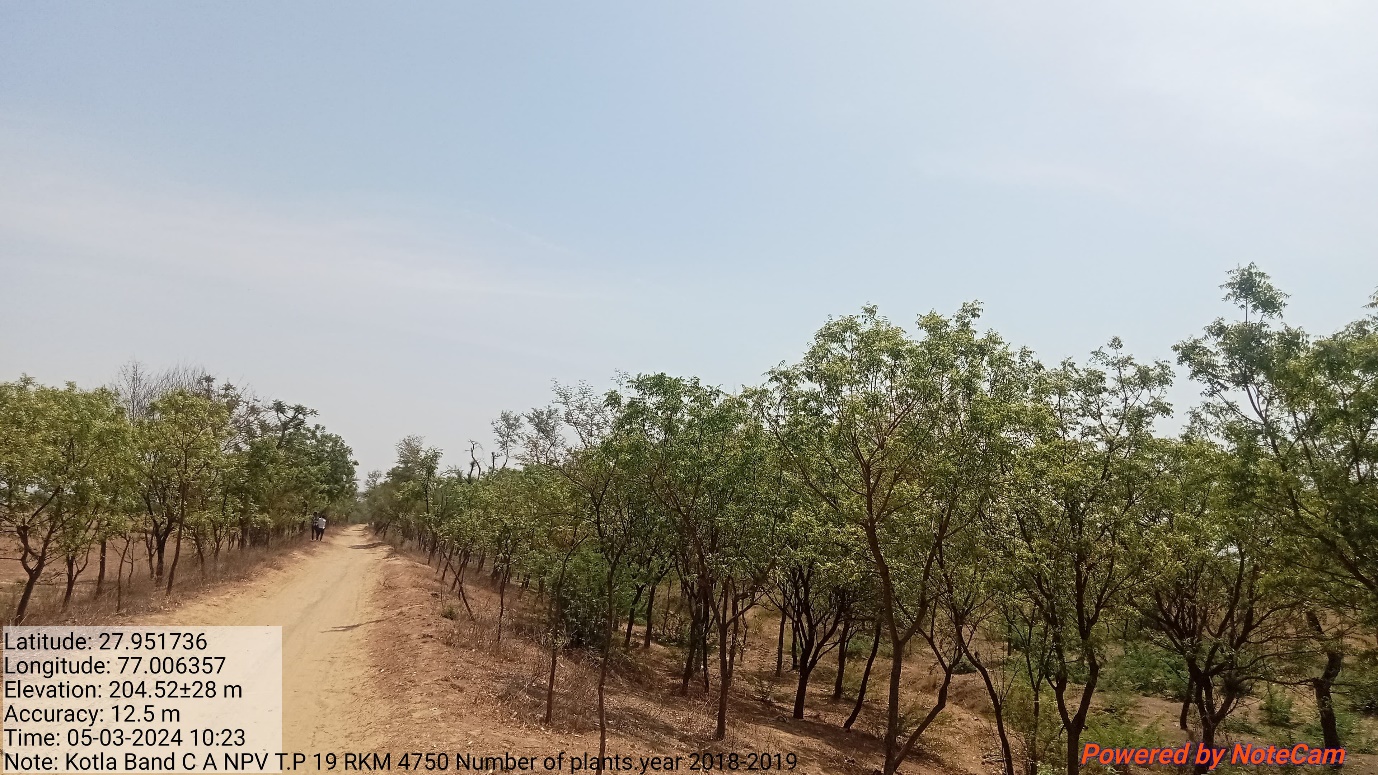 Compensatory Afforestation - photo 25