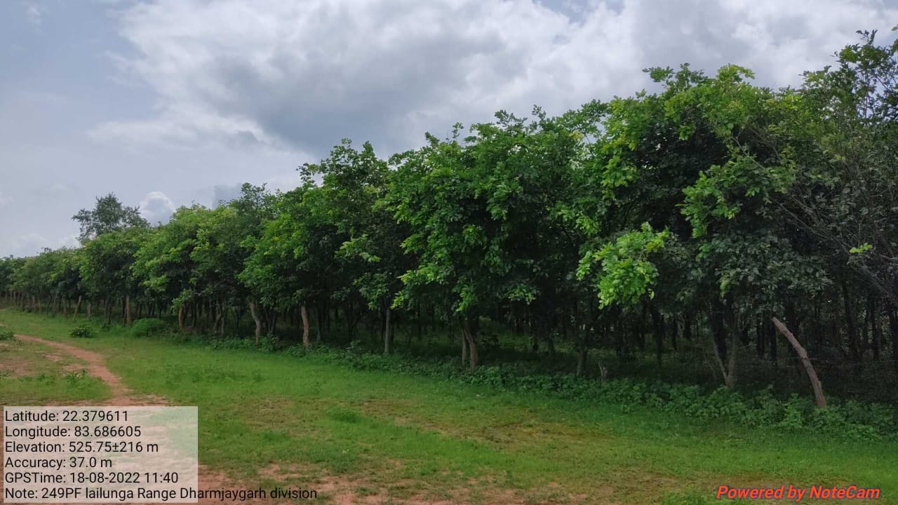 Compensatory Afforestation - photo 28