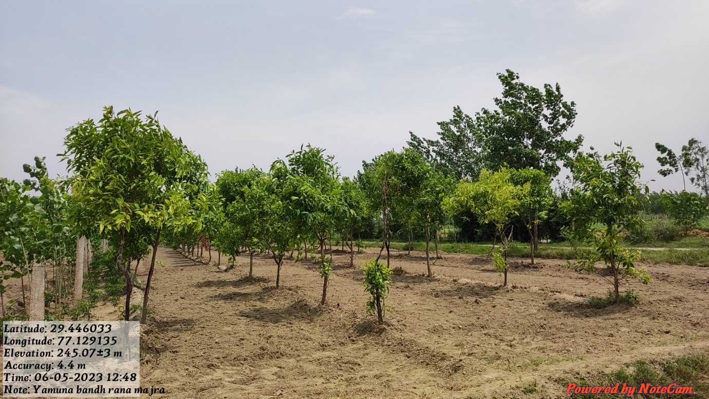 Compensatory Afforestation - photo 26