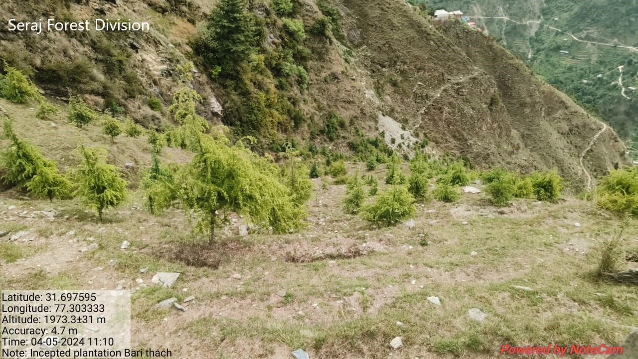 Compensatory Afforestation - photo 36