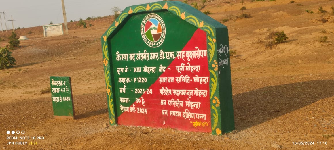 Compensatory Afforestation - photo 90
