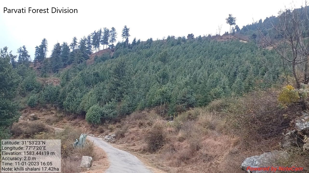 Compensatory Afforestation - photo 35