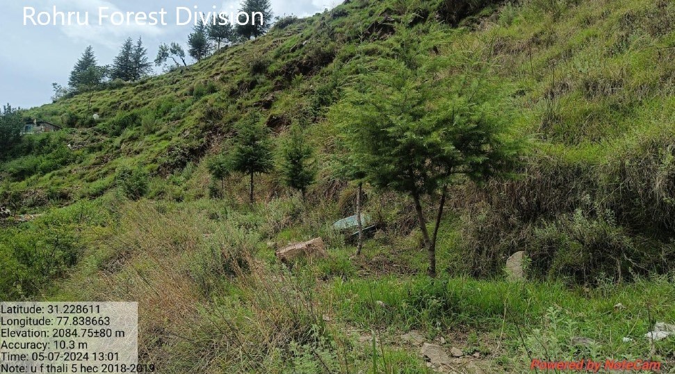Compensatory Afforestation - photo 33