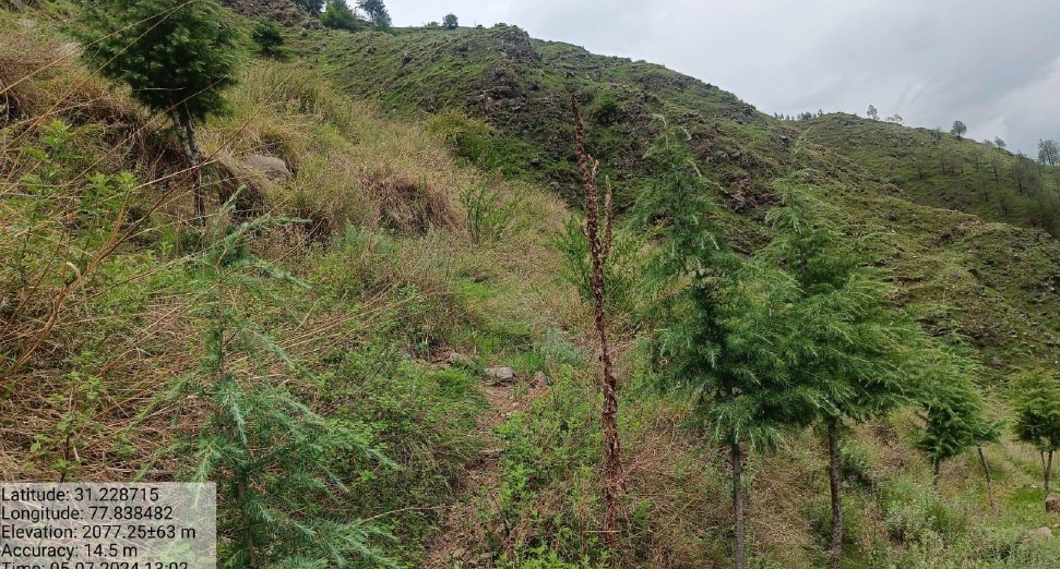 Compensatory Afforestation - photo 34