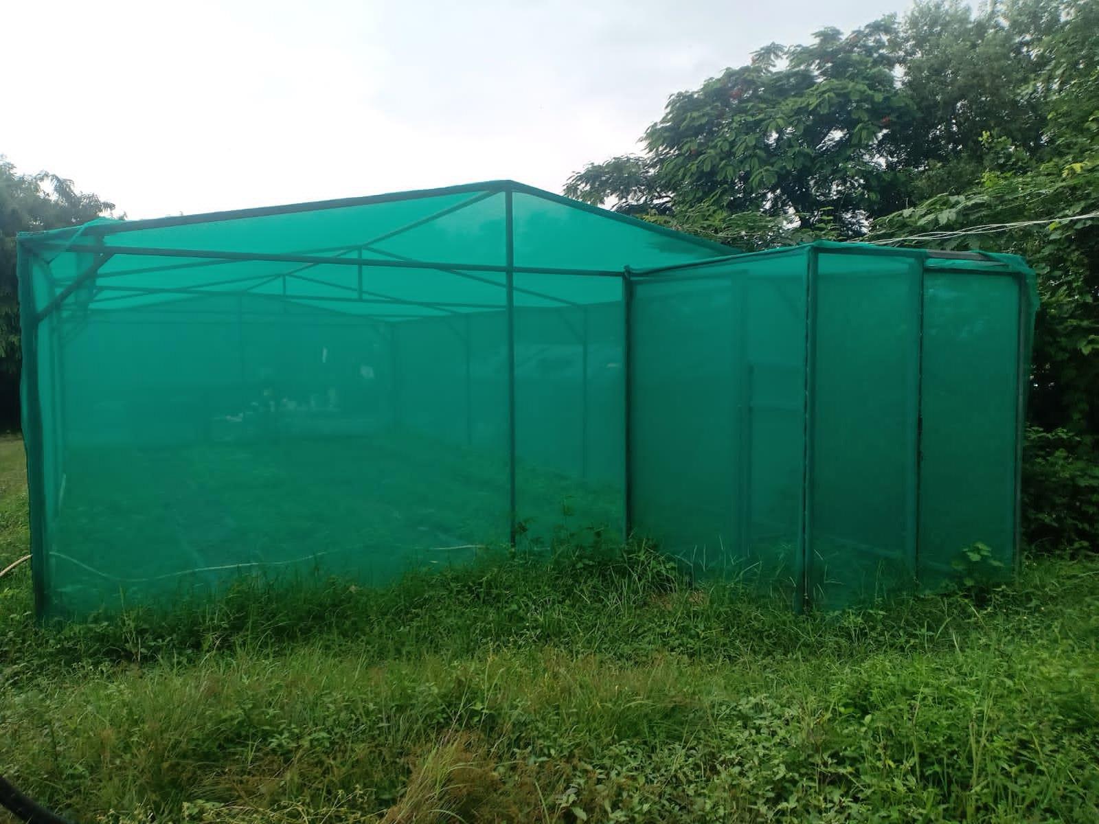 Forest Nursery - photo 208