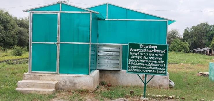 Forest Nursery - photo 205