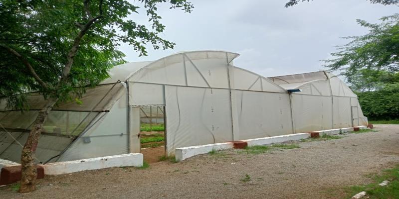 Forest Nursery - photo 209