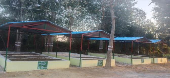 Forest Nursery - photo 203