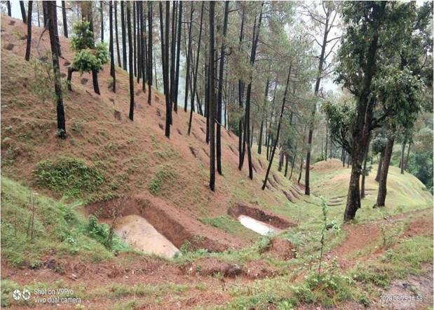 Soil and Moisture Conservation - photo 244