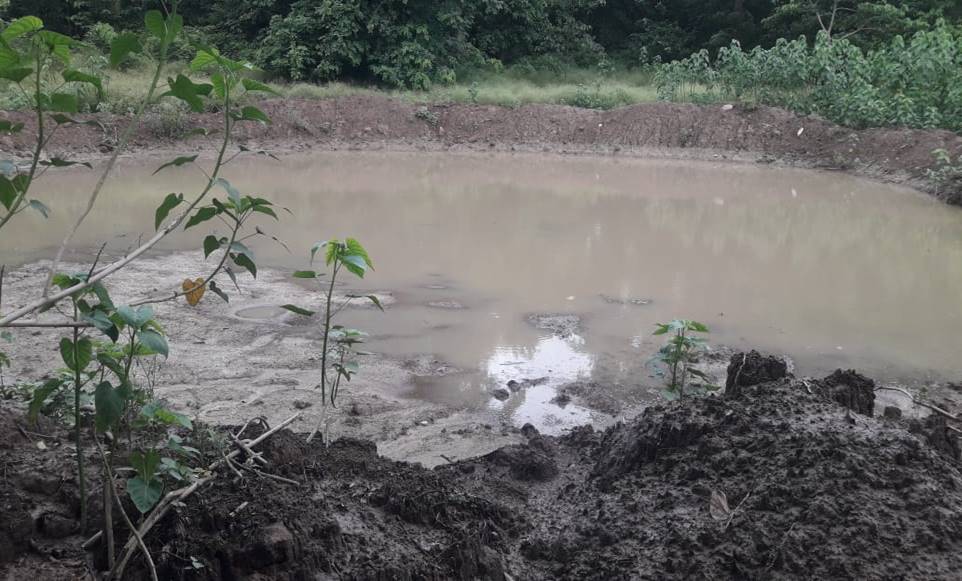 Soil and Moisture Conservation - photo 243