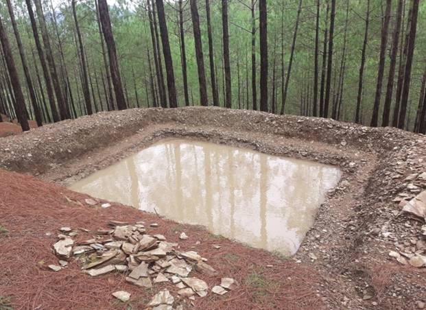Soil and Moisture Conservation - photo 246