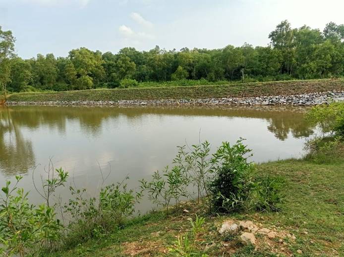 Soil and Moisture Conservation - photo 291
