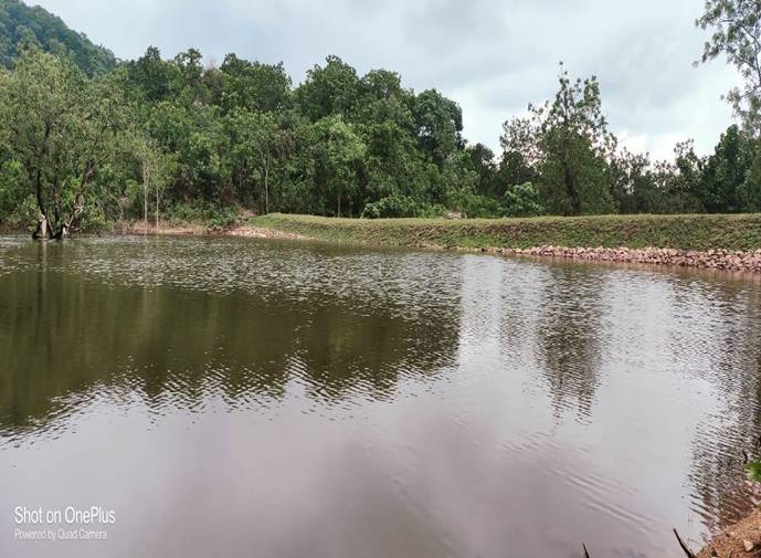 Soil and Moisture Conservation - photo 293