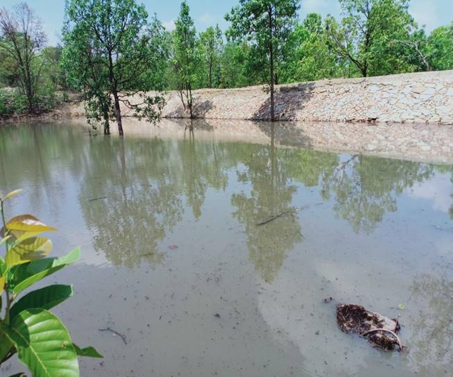 Soil and Moisture Conservation - photo 270