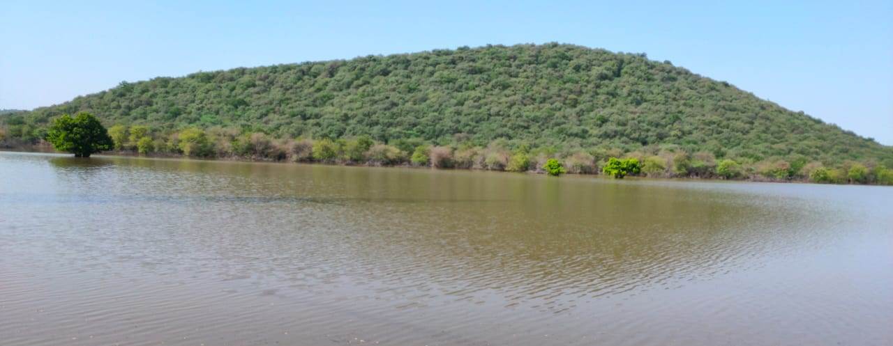 Soil and Moisture Conservation - photo 248